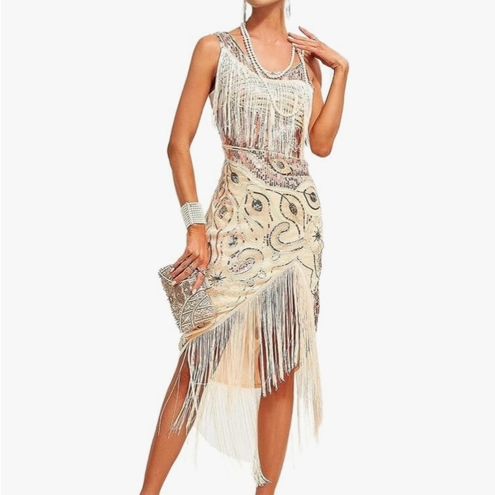Elegant Fringe Embellished Dress